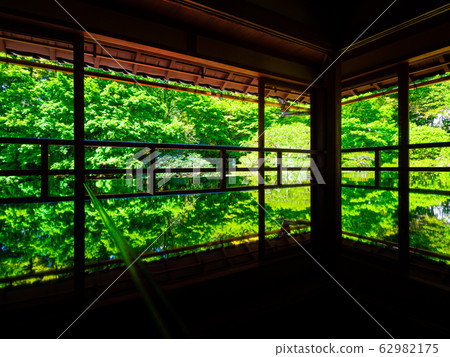 Fresh green former bamboo forest inn 62982175