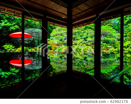 Fresh green former bamboo forest inn 62982178