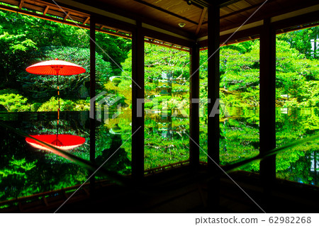 新鮮的綠色前竹森林旅館 62982268