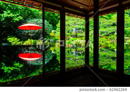 新鮮的綠色前竹森林旅館 62982269