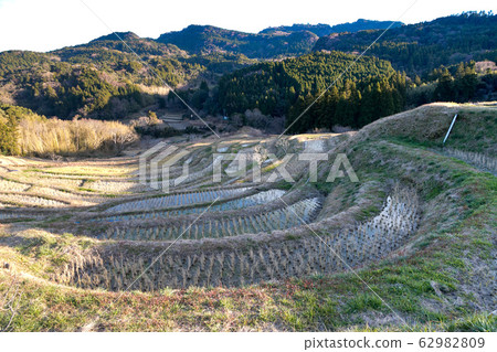 日本千葉縣鴨川市冬季梯田 日本千葉縣鴨川市冬季梯田 62982809