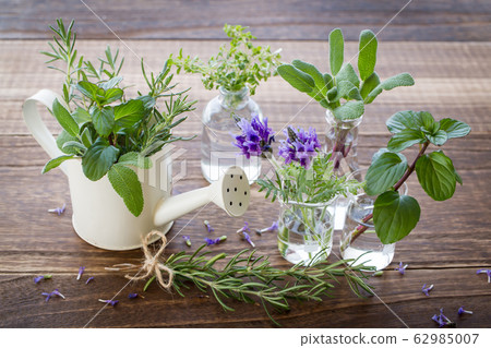 Herb gardening image 62985007