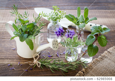 Herb gardening image 62985008