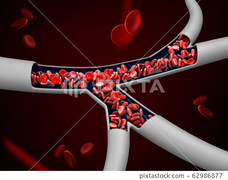 3d Illustration of red blood cells in vein,... - Stock Illustration ...