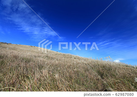 Beautiful autumn scenery Beautiful autumn scenery 62987080