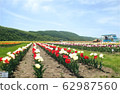 Kamiyuunetsu Tulip Park 62987560