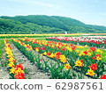 Kamiyuunetsu Tulip Park 62987561