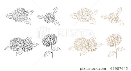 Hydrangea line art set 62987645