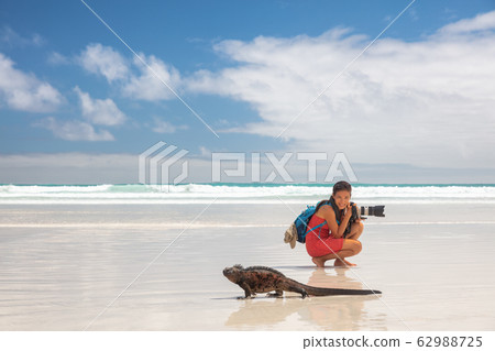 Travel adventure tourist nature photographer on Galapagos beach with Iguana 62988725