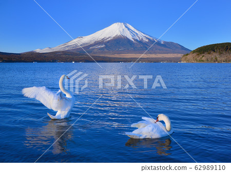 山中湖777186岸邊的風景 62989110