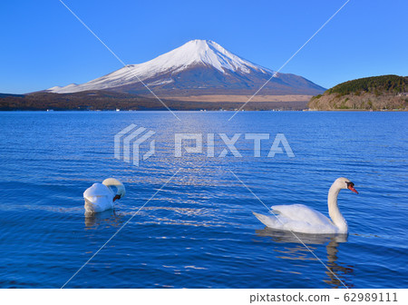 山中湖777188岸邊的風景 62989111