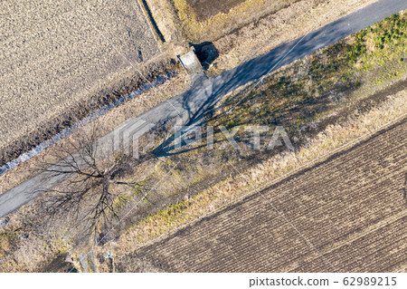 Aerial view of a tree standing in the Minuma rice field in Saitama City, Saitama Prefecture 62989215
