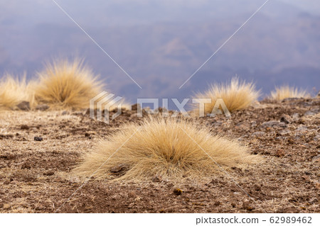 Semien or Simien Mountains, Ethiopia, Africa 62989462
