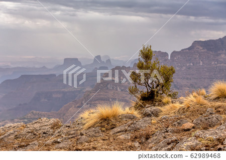 Semien or Simien Mountains, Ethiopia, Africa 62989468