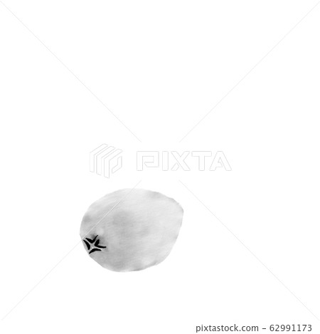 Loquat (hand-drawn illustration of ink) Loquat (hand-drawn illustration of ink) 62991173