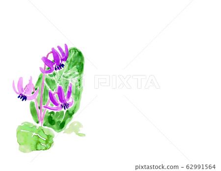 Katakuri Katakuri 62991564