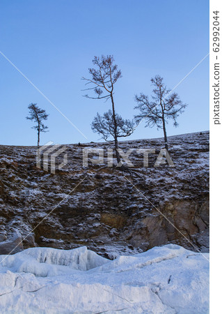 Trees in winter on cliff, landscape image Trees in winter on cliff, landscape image 62992044