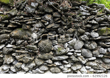 沖繩伊勢納島景觀珊瑚石垣 62992126