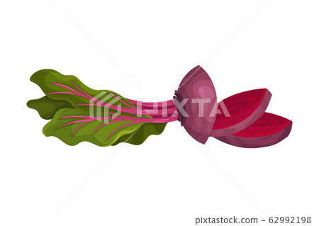 Chopped or Sliced Purple Beetroot Isolated on White Background Vector Illustration Chopped or Sliced Purple Beetroot Isolated on White Background Vector Illustration 62992198