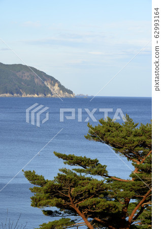 赤松和大海 62993164