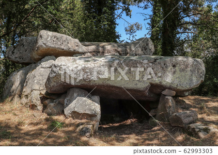 Dolmen de Roch-Feutet near Carnac in Britanny Dolmen de Roch-Feutet near Carnac in Britanny 62993303