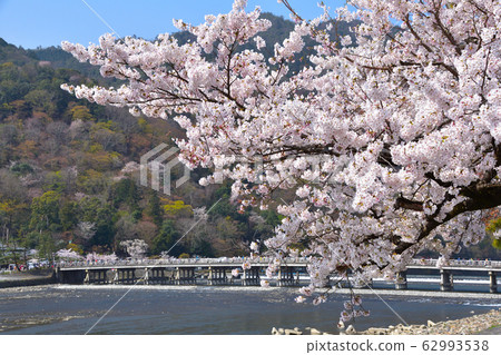 Sakura View Kyoto Arashiyama Sakura View Kyoto Arashiyama 62993538