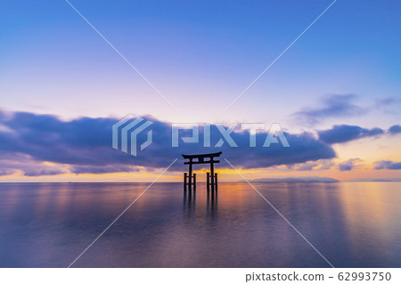 滋賀縣白rah神社 62993750