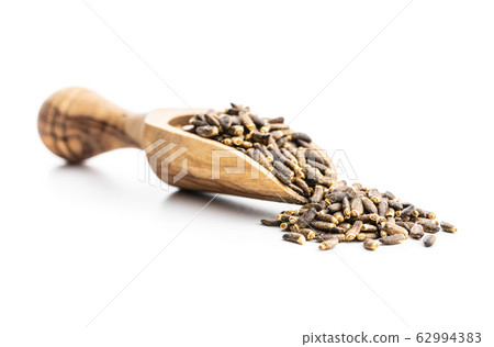 Milk thistle seeds. Milk thistle seeds. 62994383