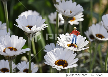 Image of Rhodan Semamu Image of Rhodan Semamu 62995219