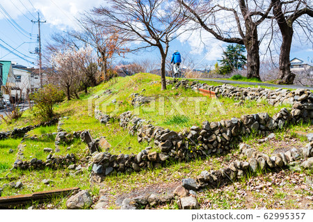 早春的呼吸 62995357