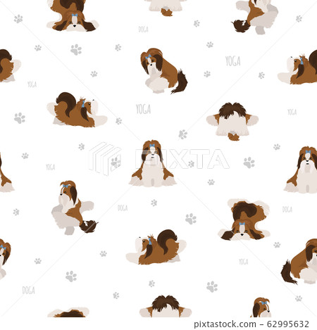 Yoga dogs poses and exercises poster design. Shih Yoga dogs poses and exercises poster design. Shih 62995632