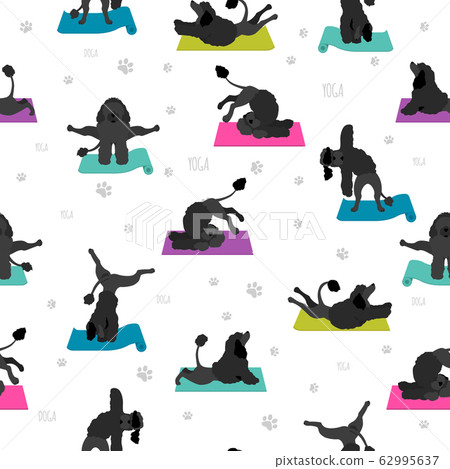 Yoga dogs poses and exercises poster design. Yoga dogs poses and exercises poster design. 62995637