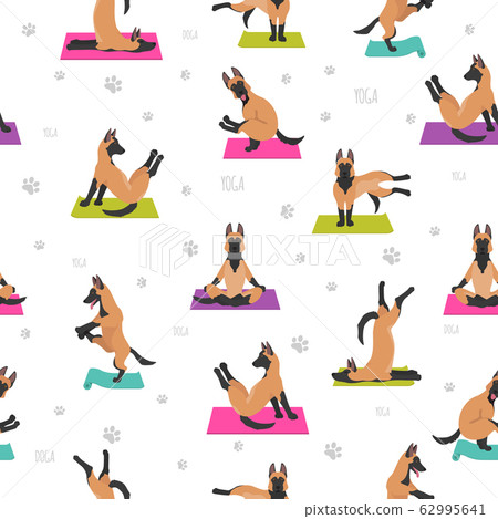 Yoga dogs poses and exercises poster design. Yoga dogs poses and exercises poster design. 62995641