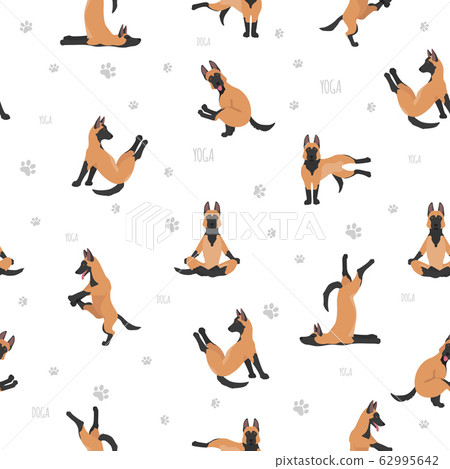 Yoga dogs poses and exercises poster design. Yoga dogs poses and exercises poster design. 62995642