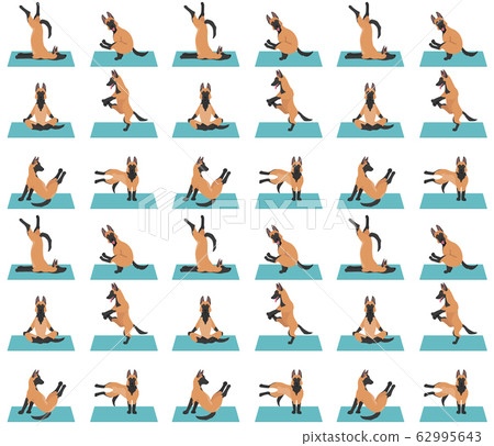 Yoga dogs poses and exercises poster design. 62995643