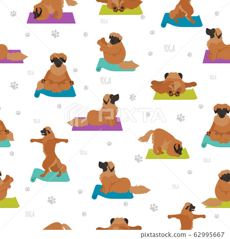 Yoga dogs poses and exercises poster design. Yoga dogs poses and exercises poster design. 62995667