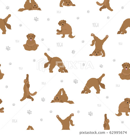 Yoga dogs poses and exercises poster design. 62995674