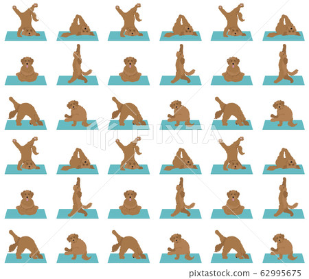 Yoga dogs poses and exercises poster design. 62995675