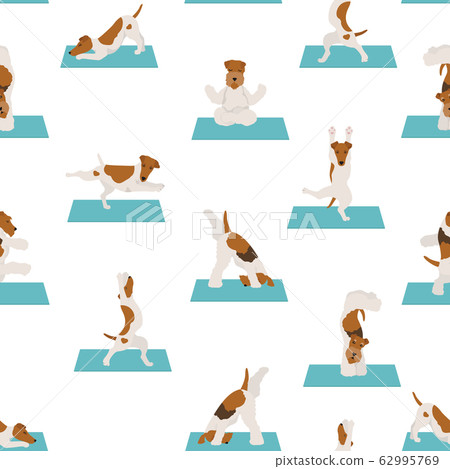 Yoga dogs poses and exercises poster design. 62995769