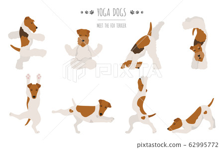 Yoga dogs poses and exercises poster design. Yoga dogs poses and exercises poster design. 62995772