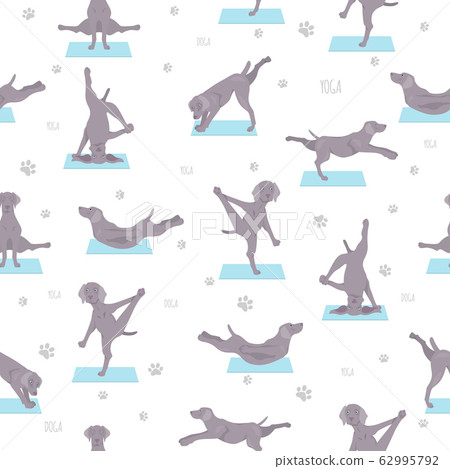 Yoga dogs poses and exercises seamless pattern 62995792