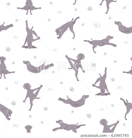 Yoga dogs poses and exercises seamless pattern 62995793