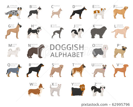 Doggish alphabet for dog lovers. Letters of the Doggish alphabet for dog lovers. Letters of the 62995796