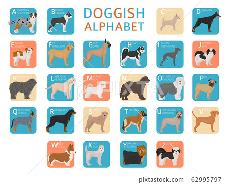 Doggish alphabet for dog lovers. Letters of the 62995797