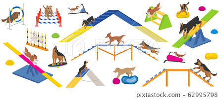 Dog playground equipment set. Colour flat playing 62995798
