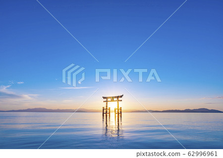 滋賀縣白rah神社 62996961