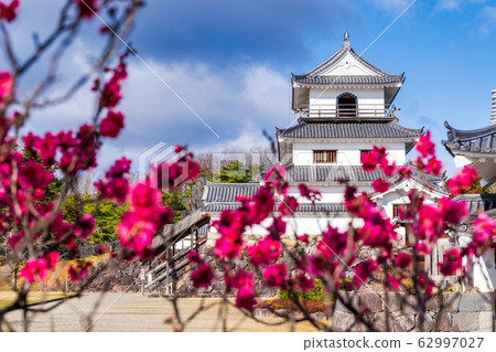 宮城縣白石市白石城和梅花 62997027