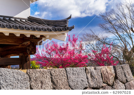 宮城縣白石市白石城和梅花 宮城縣白石市白石城和梅花 62997028