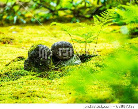 春季京都山善寧原邊地藏 62997352