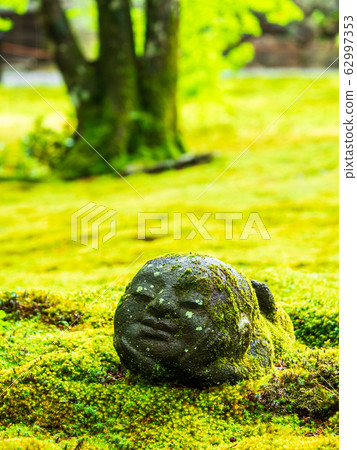 春季京都山善寧原邊地藏 62997353